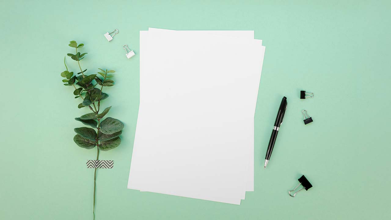 Hojas de papel fondo verde