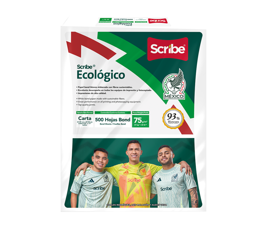 Hojas de papel carta ecológico Scribe