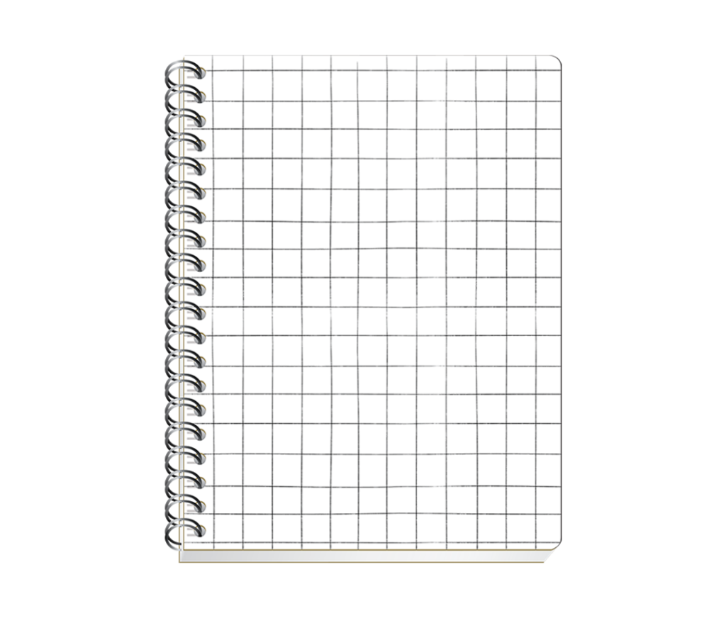 cuaderno profesional