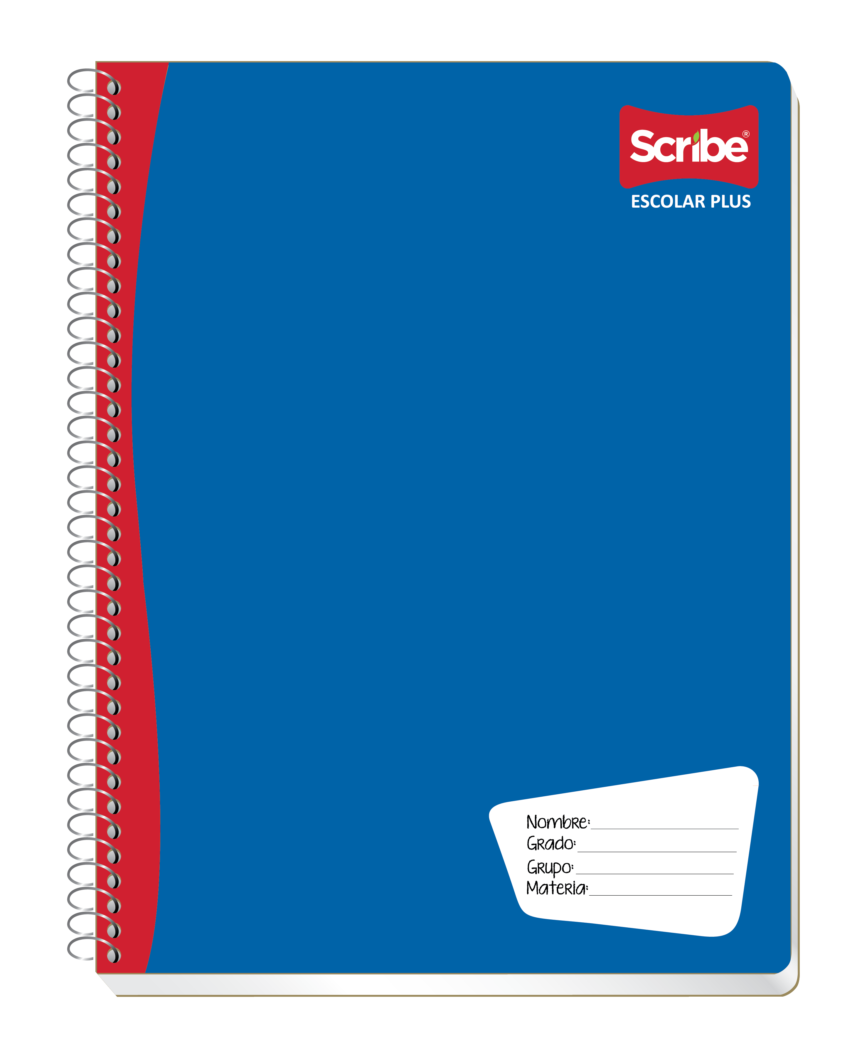cuaderno tamaño profesional