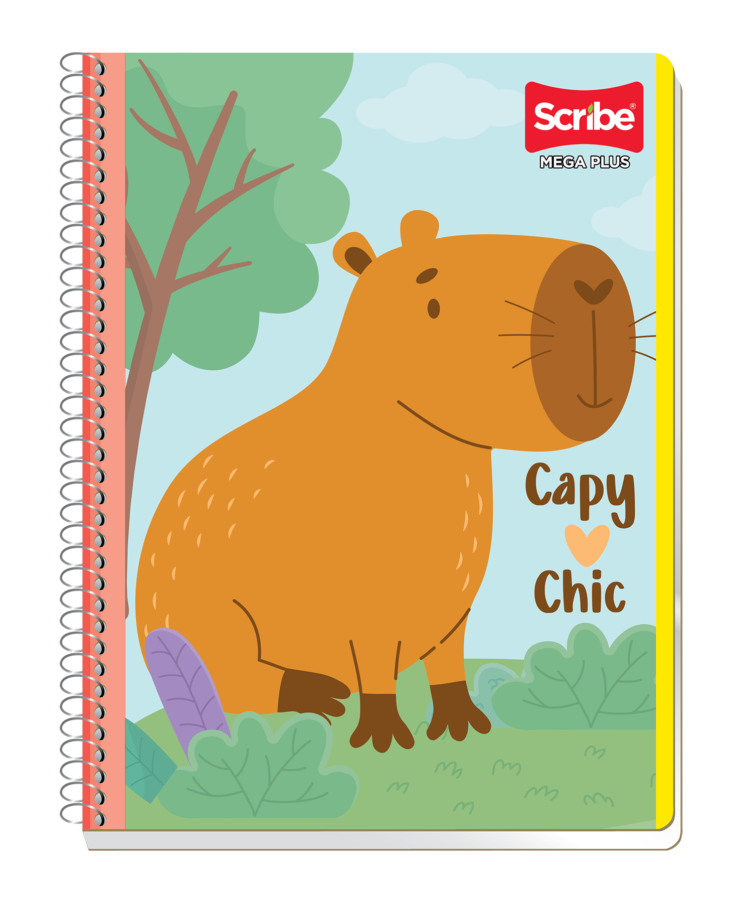 cuaderno profesional